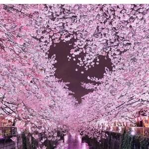 Meet your Posher, Ericka